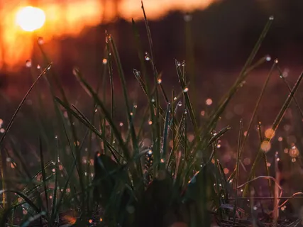 Discussion On The 5 Elements (Pancha Buddha)