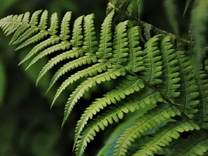 Disempowering Thought