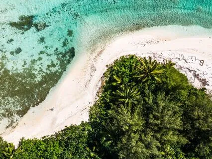 Disintegration In Order To Reintegrate: A Healing Meditation