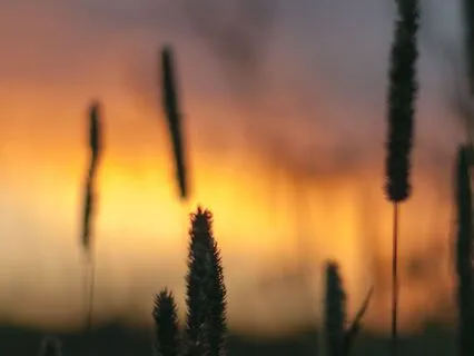 Disolve The Stress Of Ego | Parshat Vayakhel