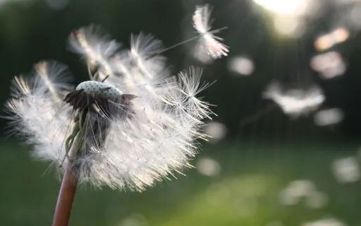 Dispelling Frustration: A Journey To Acceptance