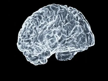 Disrupting Your Brain's Alarm Bell - Nervous System Reset