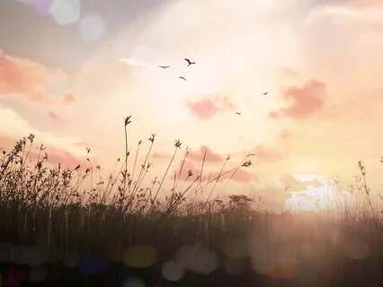 A Kinder Worldview - Dissecting the Wisdom