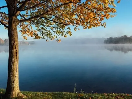  Hearing Your Messages & Stillness Speaks - Dissecting The Wisdom