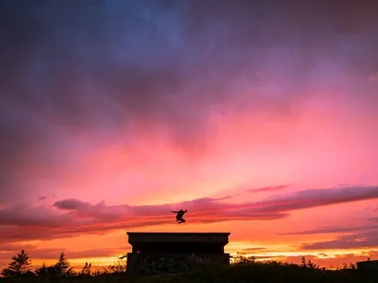 Dissecting The Wisdom - Moving Above The 4th Dimension