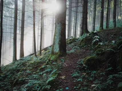 Separation Or Unity - Dissecting The Wisdom