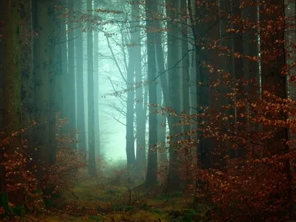 Who Is Shaltazar - Dissecting The Wisdom