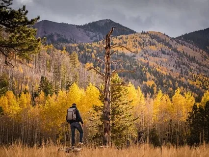 Dissipate Your Anxiety By Going For A Grounding Walk Outside