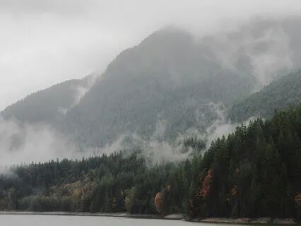 Dissolve Into Clarity