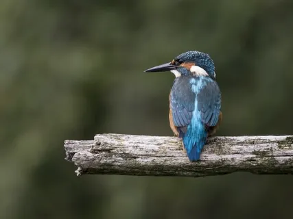 Dissolve Your Resistance