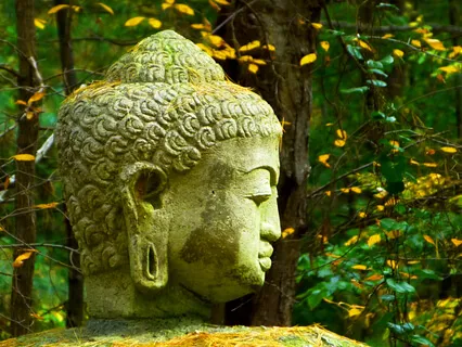 Dissolving Anger & Accepting Peace