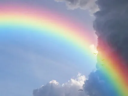 Dissolving Anxiety, Choosing Trust