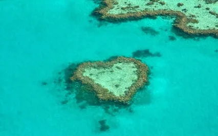 Dissolving False Self ~ Serenity Wellness Podcast ~ E74