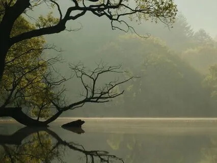 Dissolving Into Pure Awareness: A Sensory Meditation