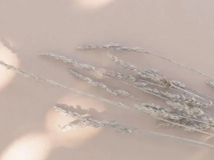 Dissolving Into Silence