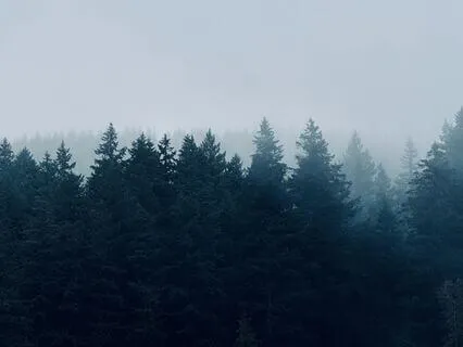 Instant Relief Meditation