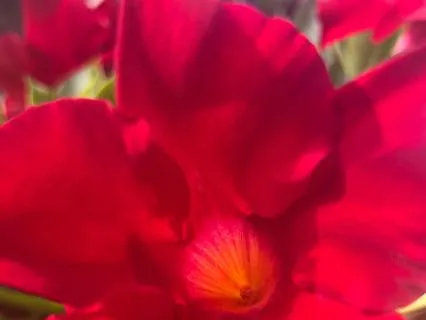 Dissolving The Inner Critic:A Self-Compassion Meditation