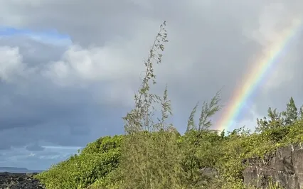 Dissolving Toxic Energy Cords With Love