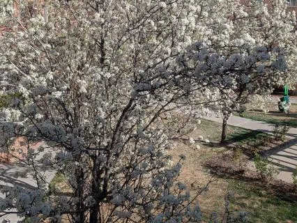 Distance Reiki For Deep Healing & Nervous System Reset