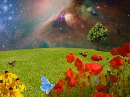 Distant Land - A Magical Story With Magical Music