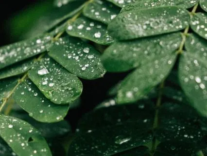 Distant Thunder for Deep Sleep - 12 Hour