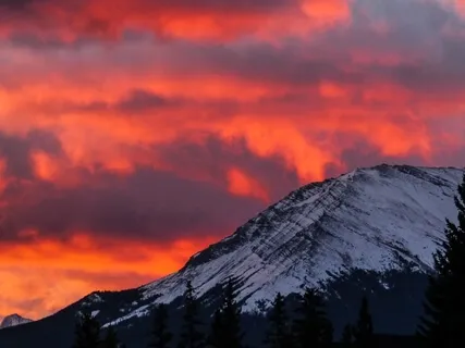 Distress Tolerance And The Five Senses