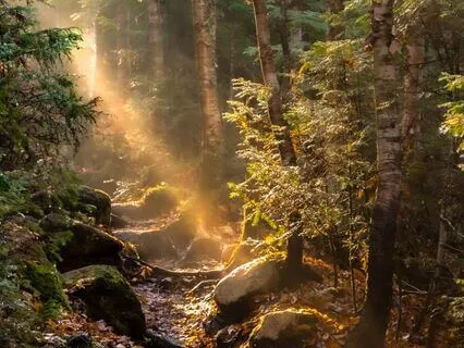 Divine Awakening — Activate Your Intention & Manifestation