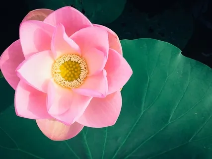 Divine Comfort & Reassurance: Feel Held & Supported During Challenging Times