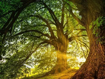 Divine Connection And Inner Transformation Meditation