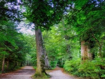 Divine Detour: A Prayer For Trusting The Unknown