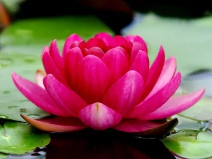 Divine Feminine Affirmations