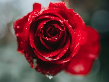 Divine Feminine Consciousness