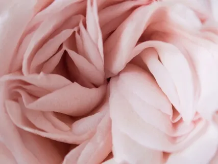 Divine Feminine Energy Meditation