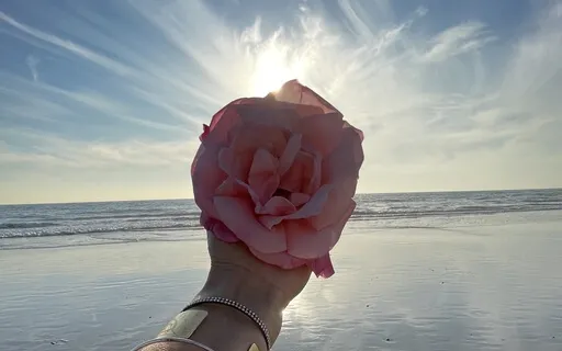 Divine Feminine Fall Rose Transmission 