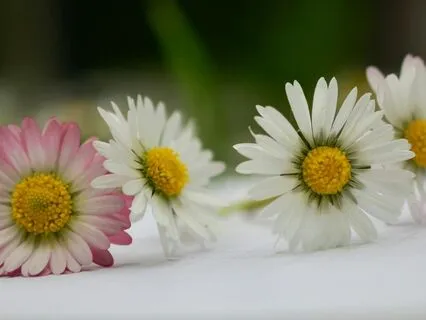 Divine Feminine Friday | The Power Of Receiving : Self-Love