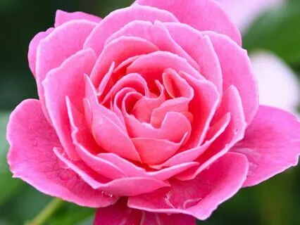 Meditation To Heal, Recenter & Reclaim Your Energy