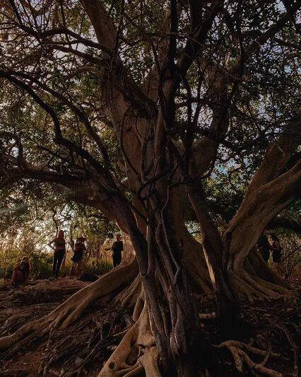 Divine Feminine - Meditation