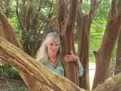 Divine Feminine Stories: The Autumn Tree (Resilience)