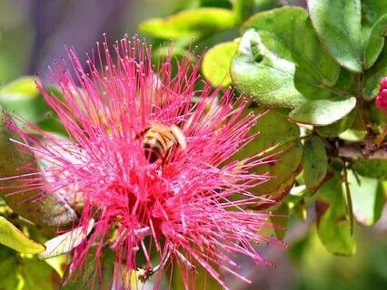 Divine Guidance For The Great Potential For Change