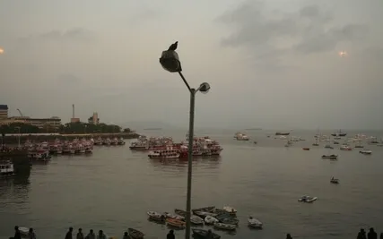 Divine Guidance Tarot Reading