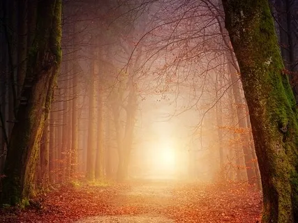 Divine Healing Practice