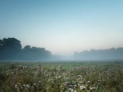 Divine Heart Connection