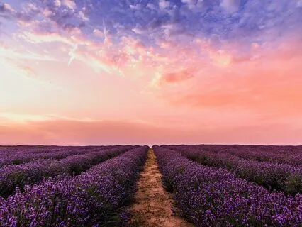 Divine Journey (Piano for Meditation)