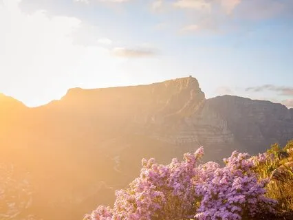 Divine Light Protection