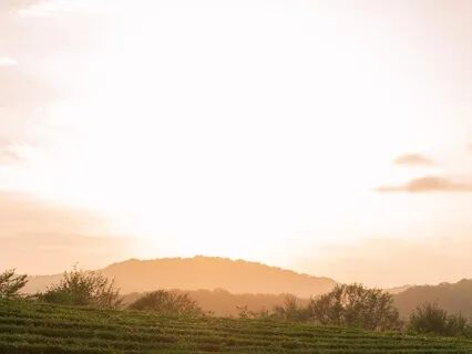 Divine Light - Rest And Sleep - (Piano)