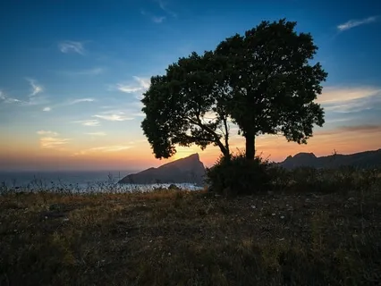 Divine Love Activation