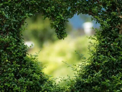 Divine Love For Embodying Awakening