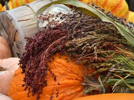 Divine Nourishment - A Jewish Meditation Before Eating