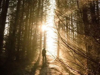 Divine Oneness Healing Meditation & Sound Journey