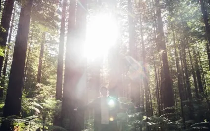 Divine Oneness Healing Prayer